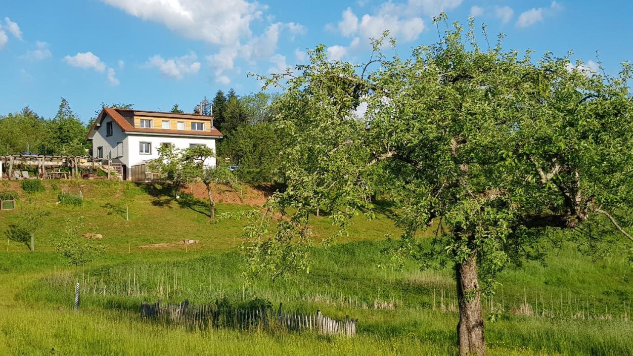 Coeur Vert Oekologisch Mit Viel Ambiente Fuer Seelen-Wellness Ronchamp Exterior photo